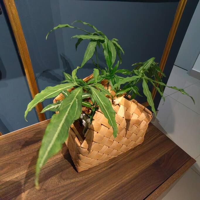 Alocasia Geniehome 3Br Free Wifi @ Utropolis Shah Alam Bagian luar foto